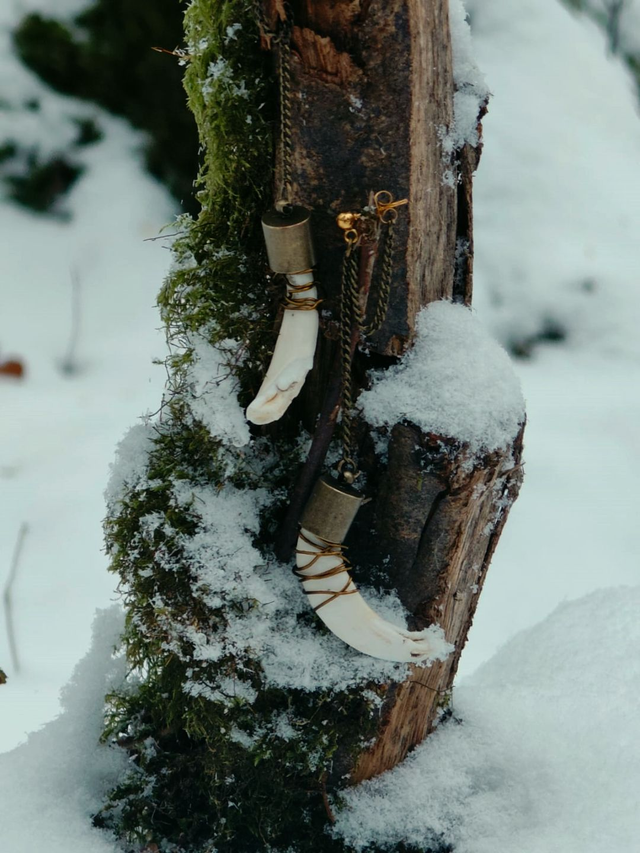 Les Pointes du Vieux Chêne