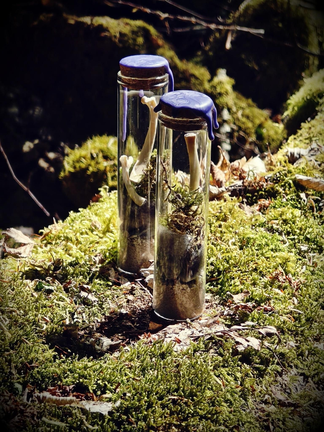 Fioles de Sorcière - Fiole sorciere decorative elements naturels vue face wolfsbane studio